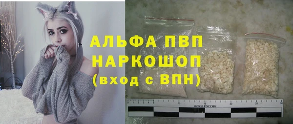СК Богородицк