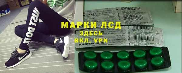 мяу мяу мука Елабуга