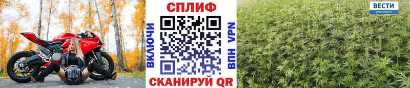 дарнет шоп  Трубчевск  Шишки марихуана AK-47 